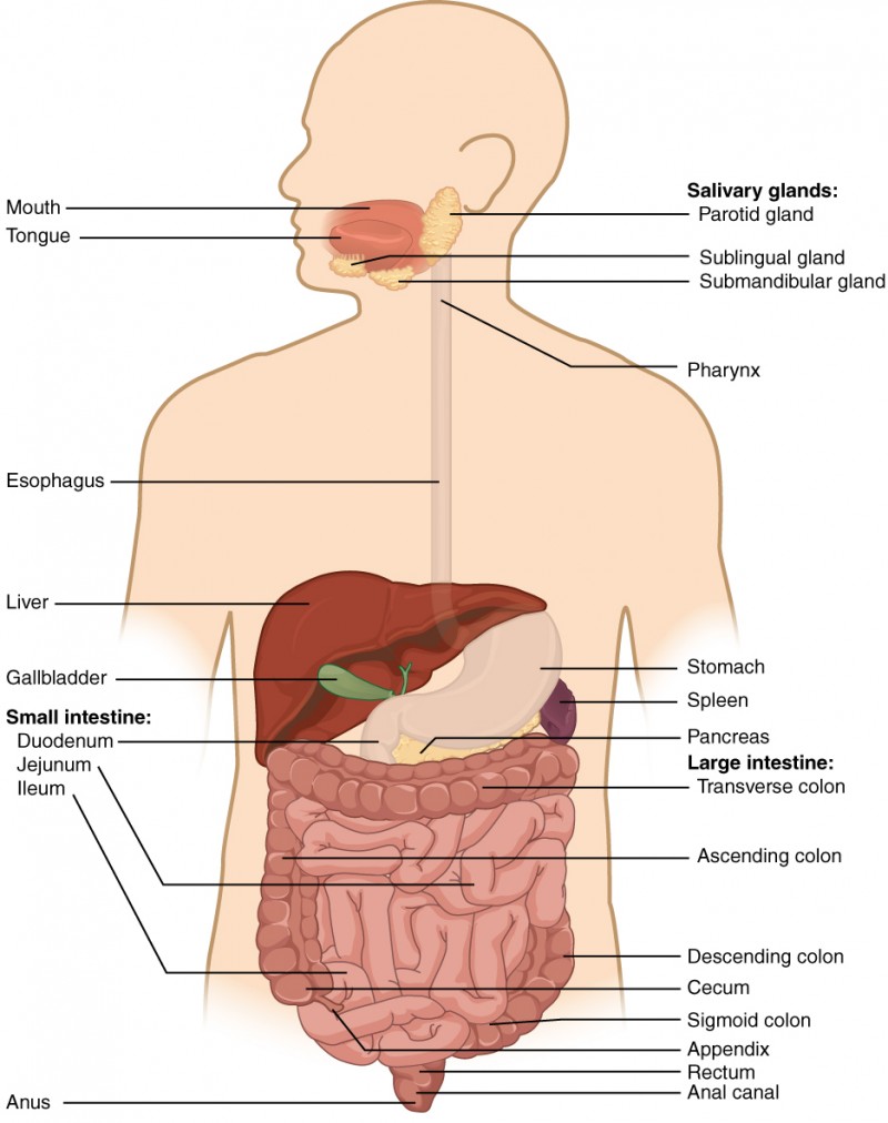 Science illustration