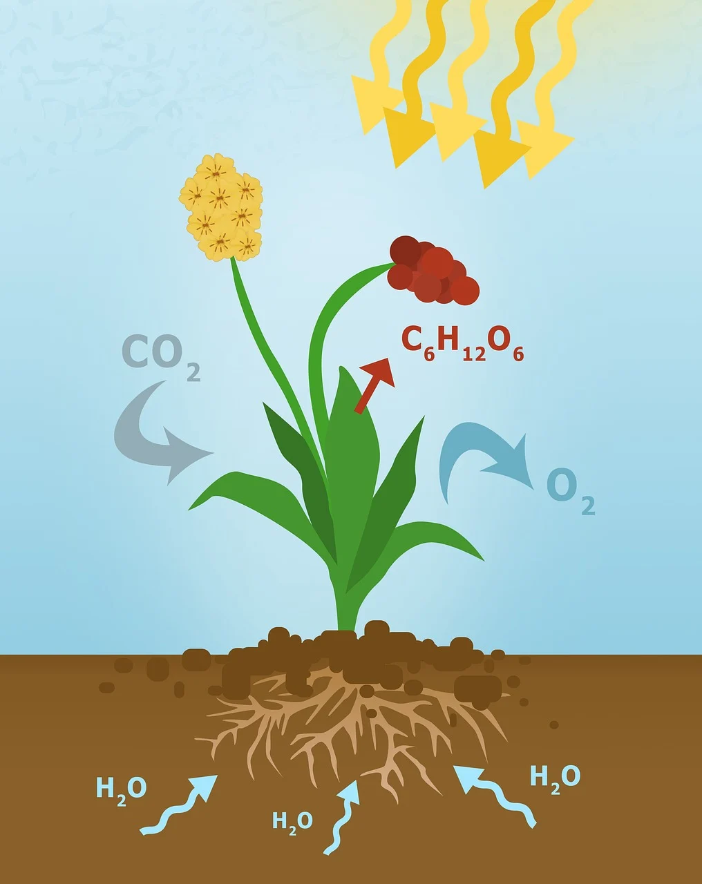 Science illustration