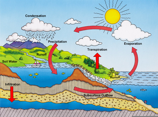Science illustration